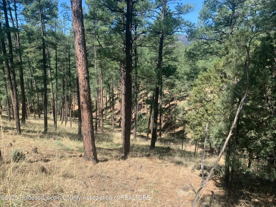 104 Quince Circle, Ruidoso, NM 88345 - Image #2