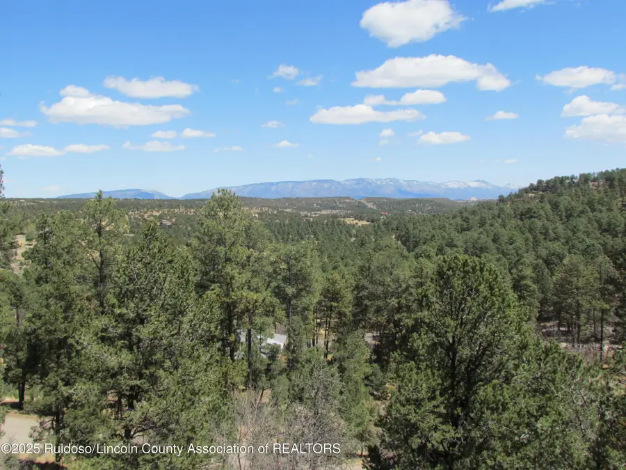 132 Torrey Pines Trail, Alto, NM 88312 - Image #2