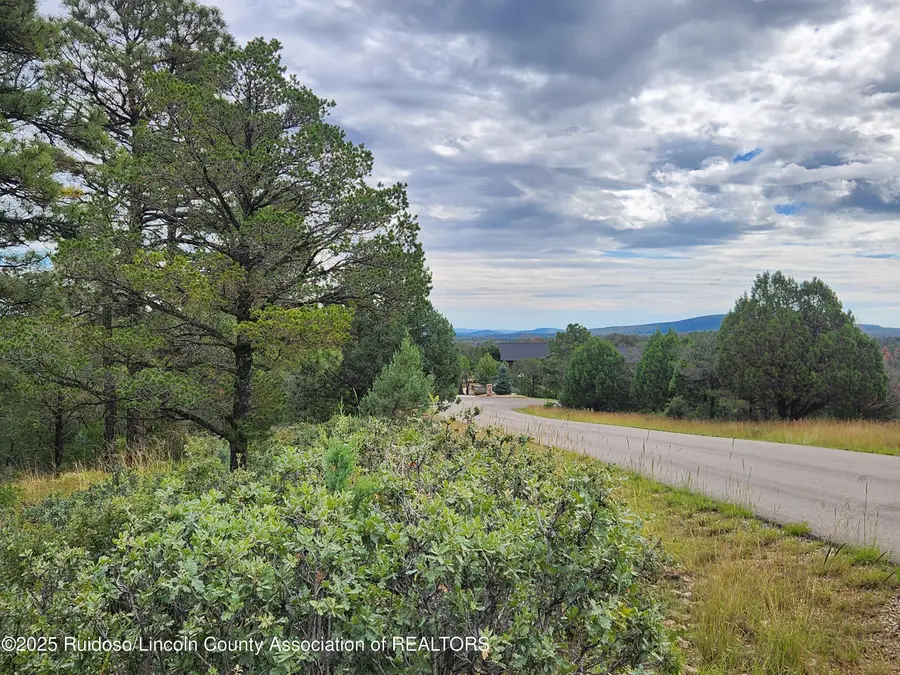50B Bobby Jones Court, Alto, NM 88312 - Image #2