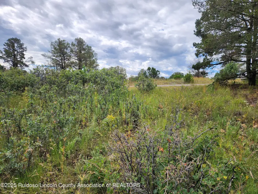 50B Bobby Jones Court, Alto, NM 88312 - Image #3