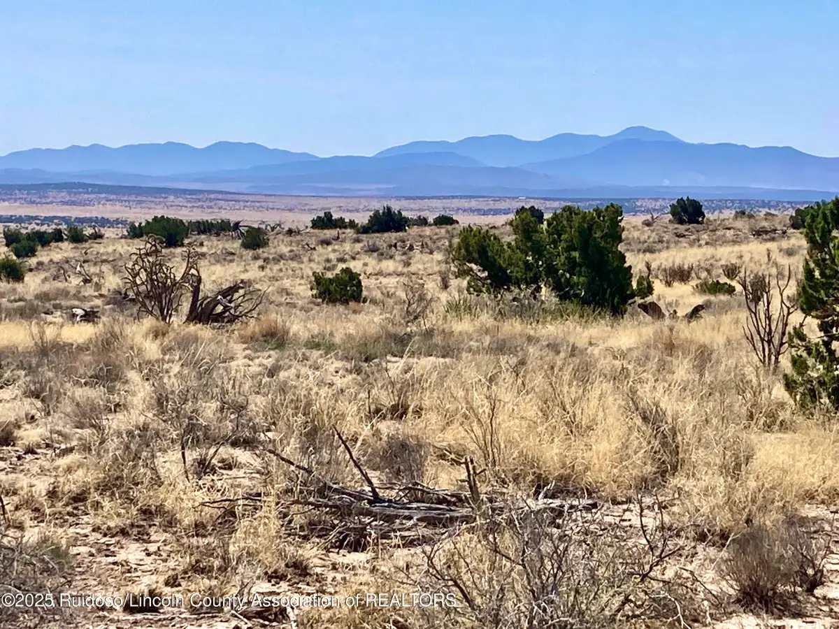 Lot 207 Tin Cup Road, Carrizozo, NM 88301 - Image #1