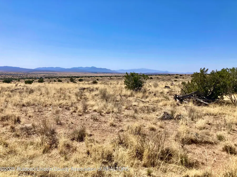 Lot 207 Tin Cup Road, Carrizozo, NM 88301 - Image #3