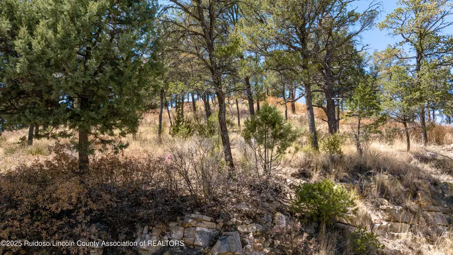107 Worchester Drive, Ruidoso, NM 88345 - Image #3