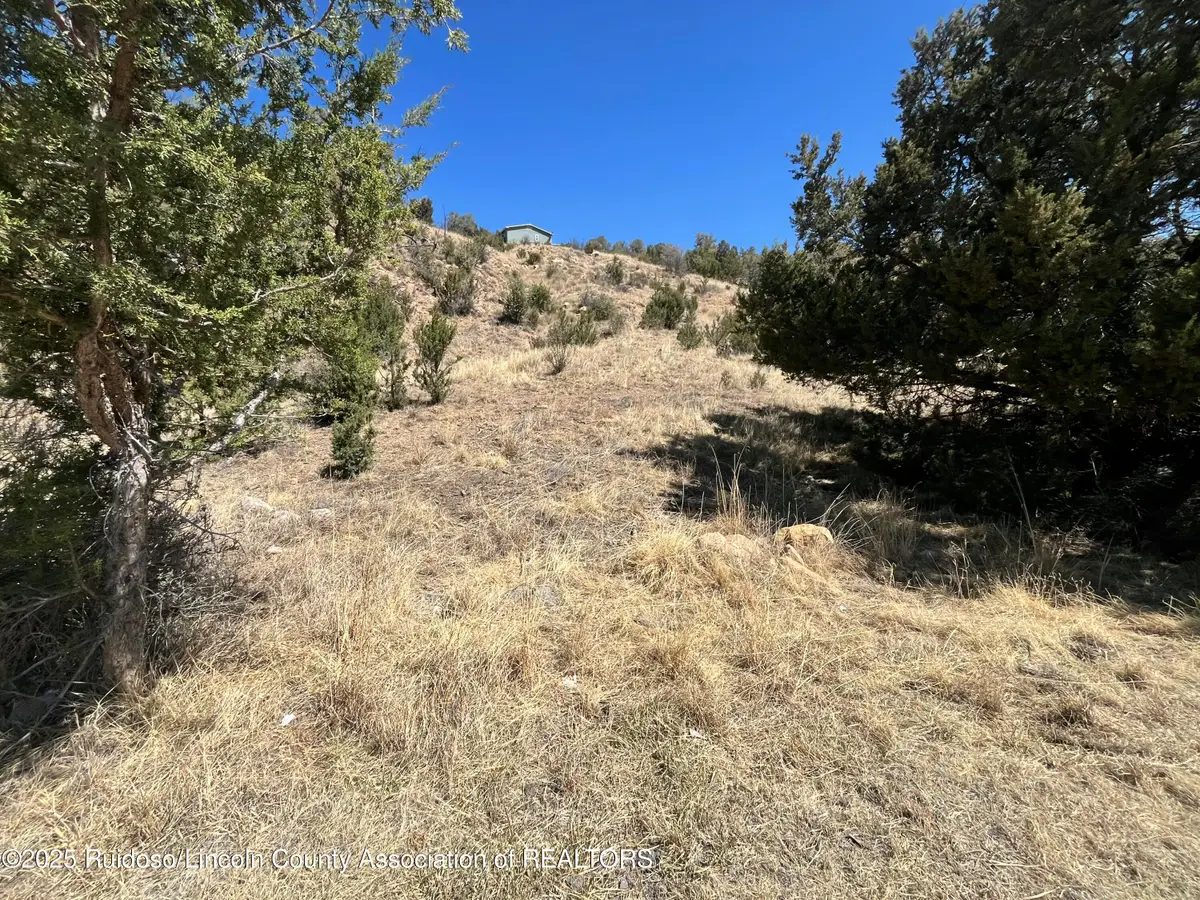 L30 B2 Little Big Horn Road, Alto, NM 88312 - Image #1