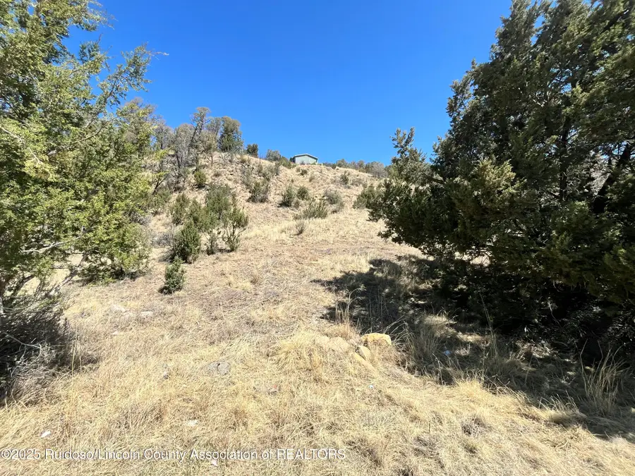 L30 B2 Little Big Horn Road, Alto, NM 88312 - Image #2