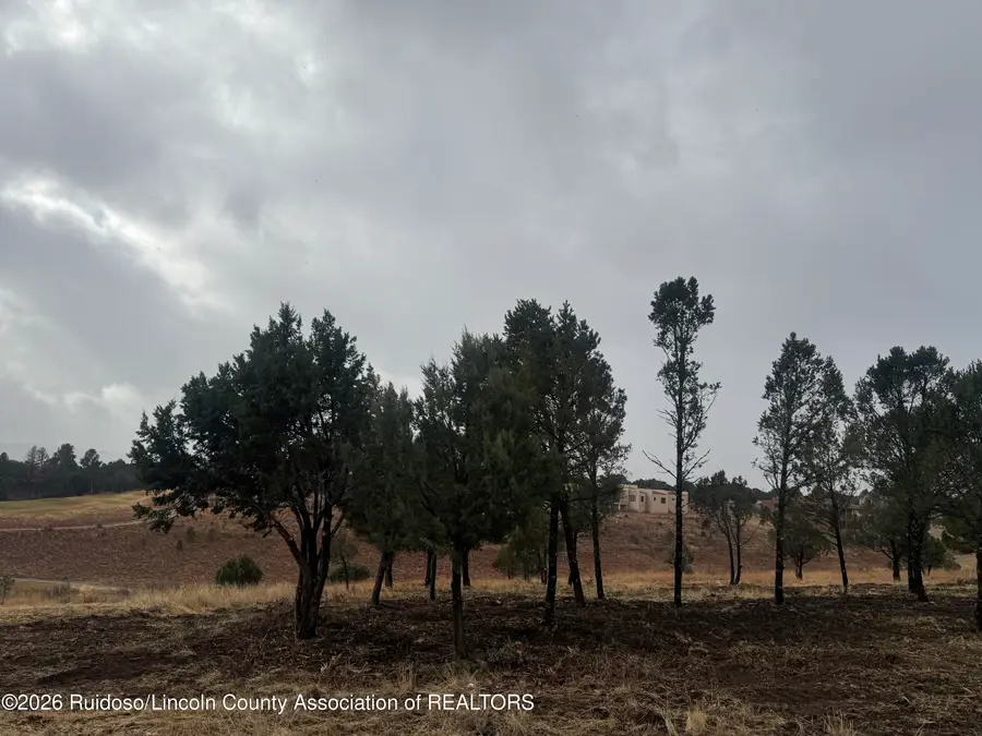 22B-1 Lincoln Hills Drive, Alto, NM 88312 - Image #3
