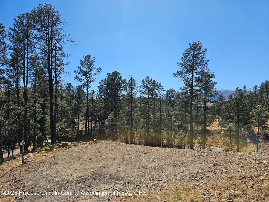 100 Sunset Drive, Alto, NM 88312 - Image #3