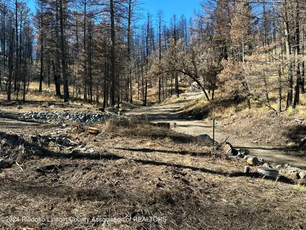 165 Jarratt Lp, Ruidoso, NM 88345
