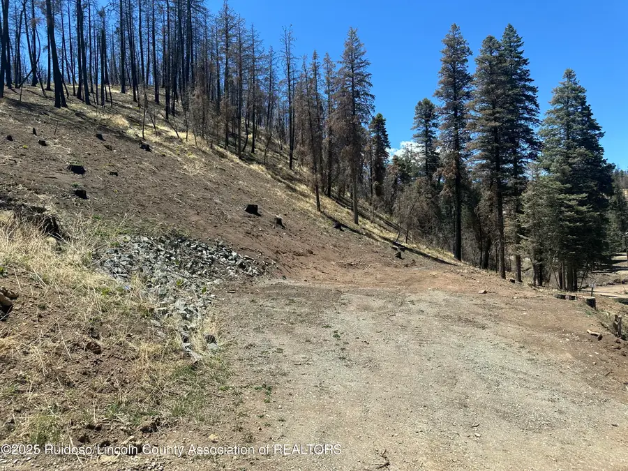 165 Jarratt Lp, Ruidoso, NM 88345 - Image #2