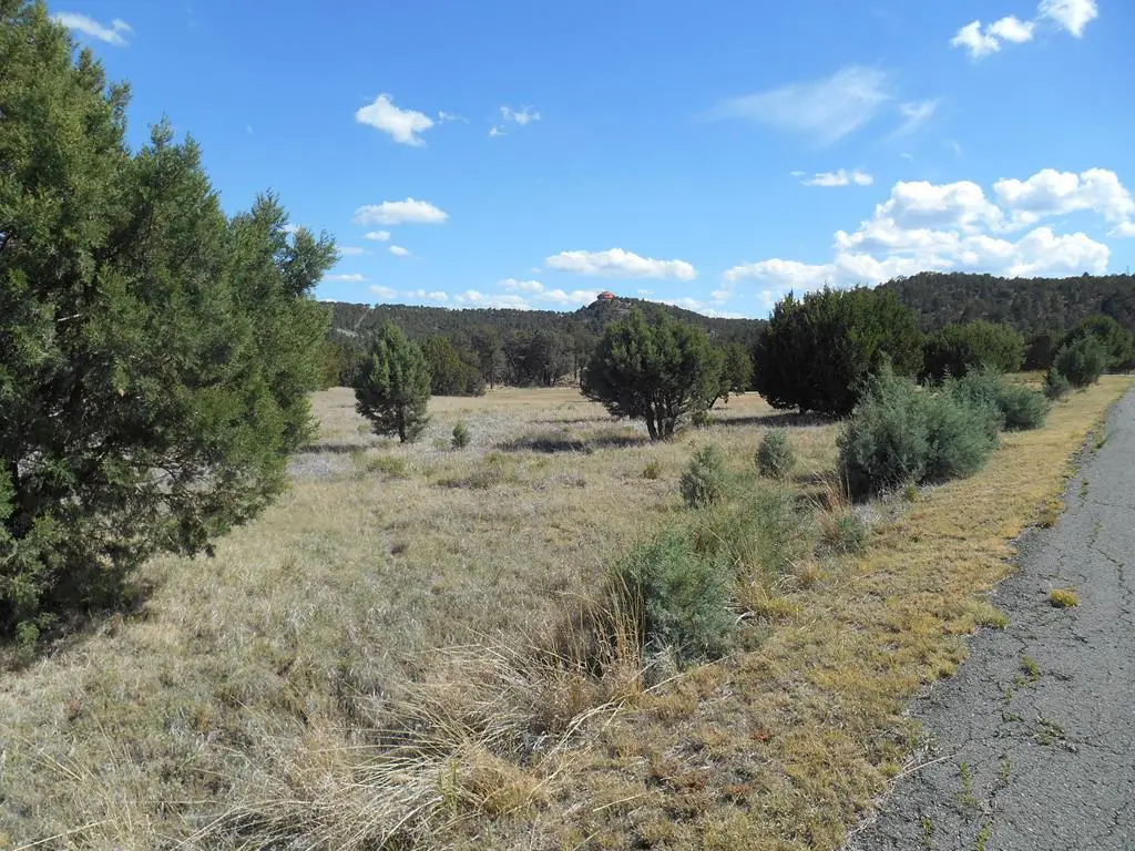 277 Paseo De Aguayo, Alto, NM 88312 - Image #1