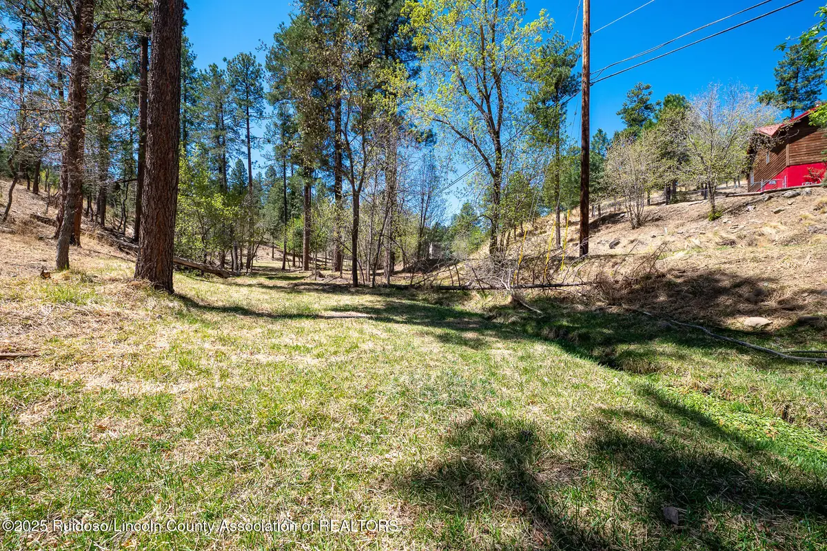 205 Flume Canyon Drive, Ruidoso, NM 88345 - Image #1