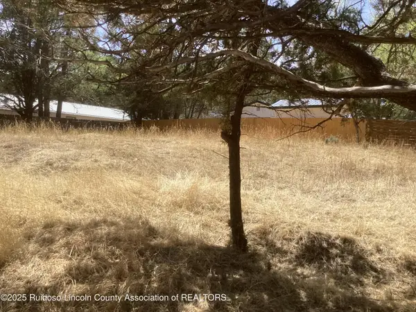 609 Wingfield Road, Ruidoso, NM 88345