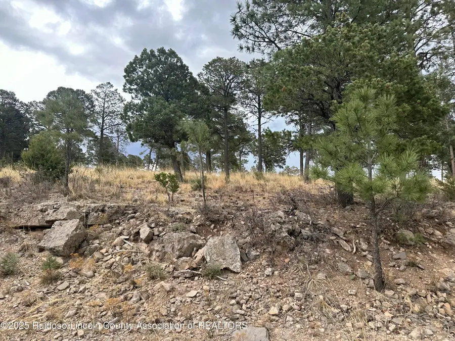 100 Avalon Court, Ruidoso, NM 88345 - Image #3