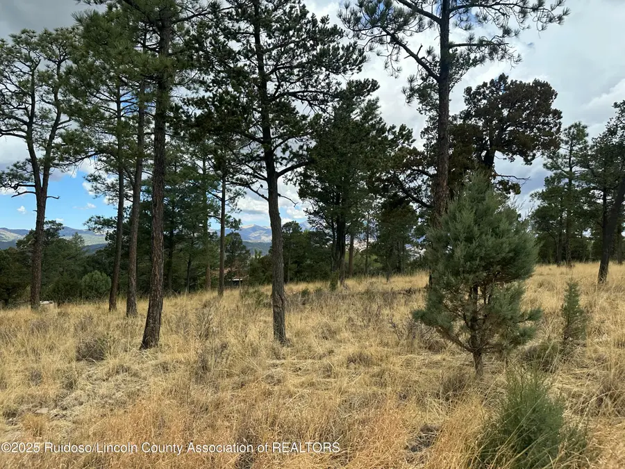 104 Avalon Court, Ruidoso, NM 88345 - Image #2