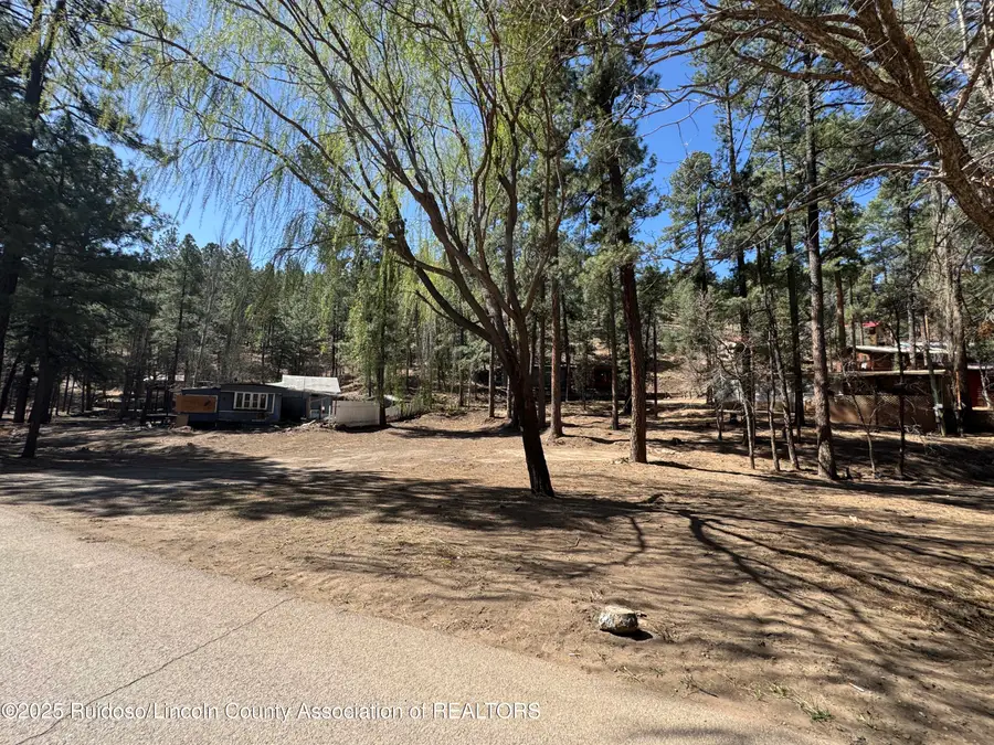109 Ponderosa Drive, Ruidoso, NM 88345 - Image #3