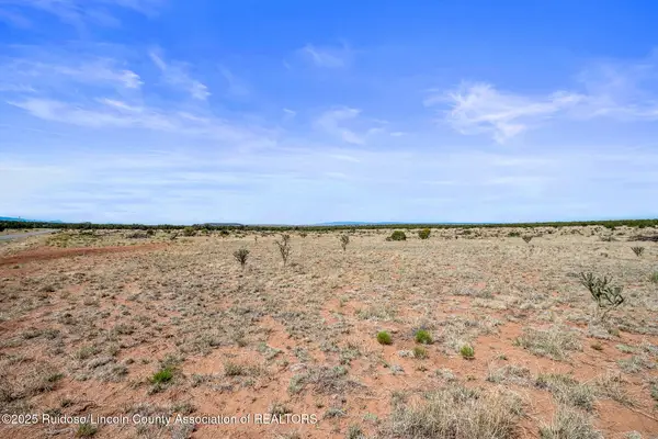 L313 Windmill Ranches, Carrizozo, NM 88301