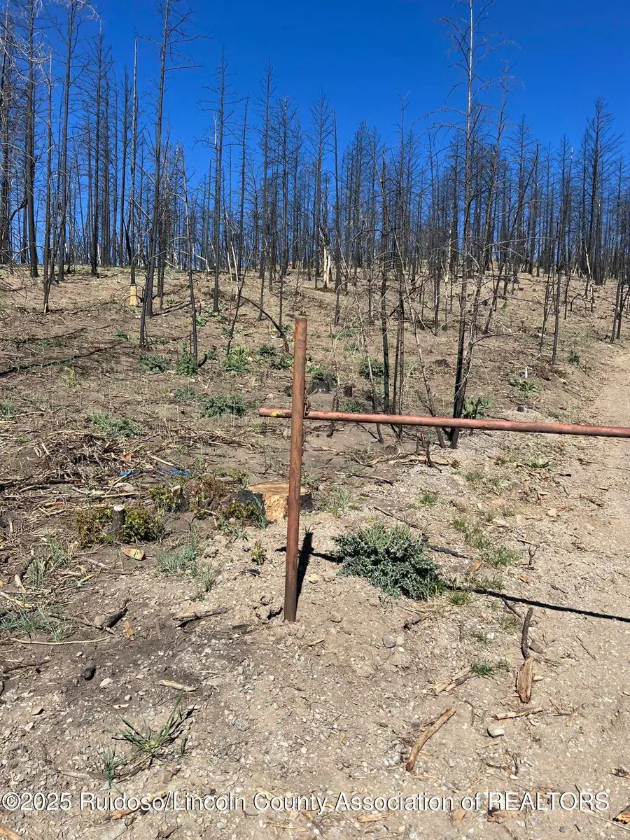 109 Spring Canyon Road, Ruidoso, NM 88345 - Image #2