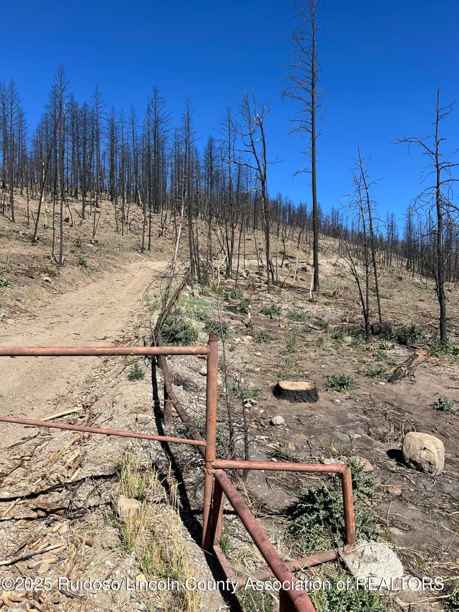 109 Spring Canyon Road, Ruidoso, NM 88345 - Image #3