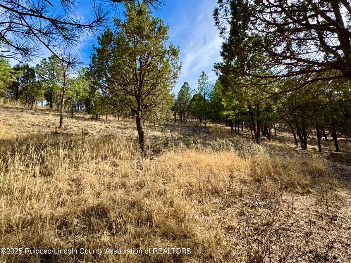 Lot 44 Sawmill Canyon Road, Alto, NM 88312 - Image #1