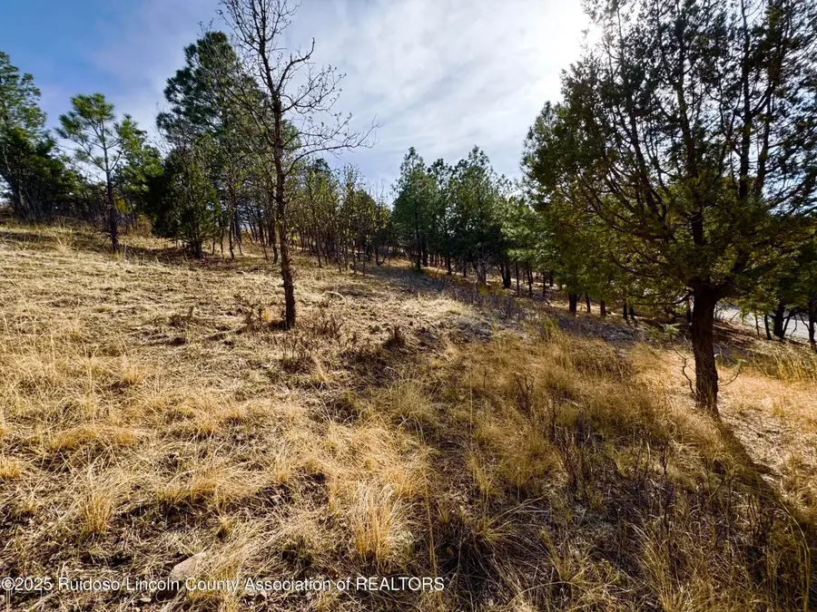 Lot 44 Sawmill Canyon Road, Alto, NM 88312 - Image #3