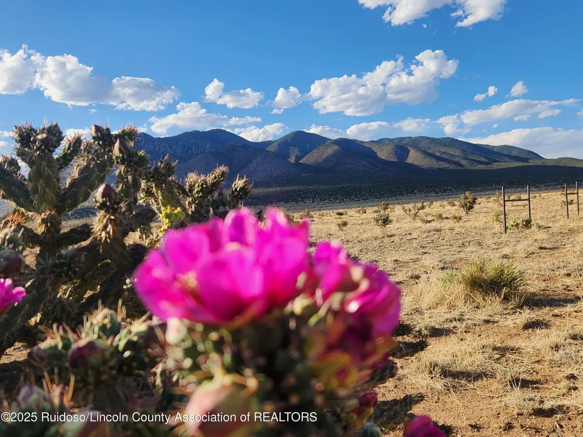 L4 O Bar O Road, Carrizozo, NM 88301 - Image #1