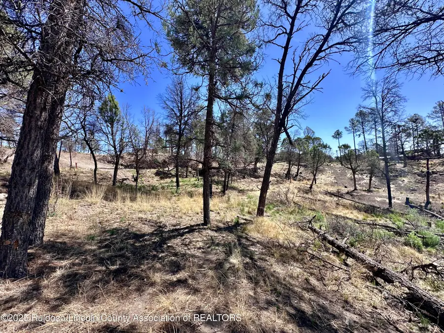 101 Gila Road, Ruidoso, NM 88345 - Image #3