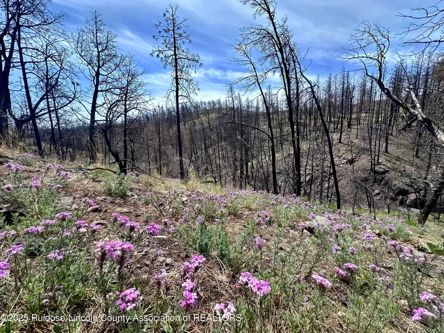 Lots 5-9 Alpine Village Drive, Ruidoso, NM 88345 - Image #2