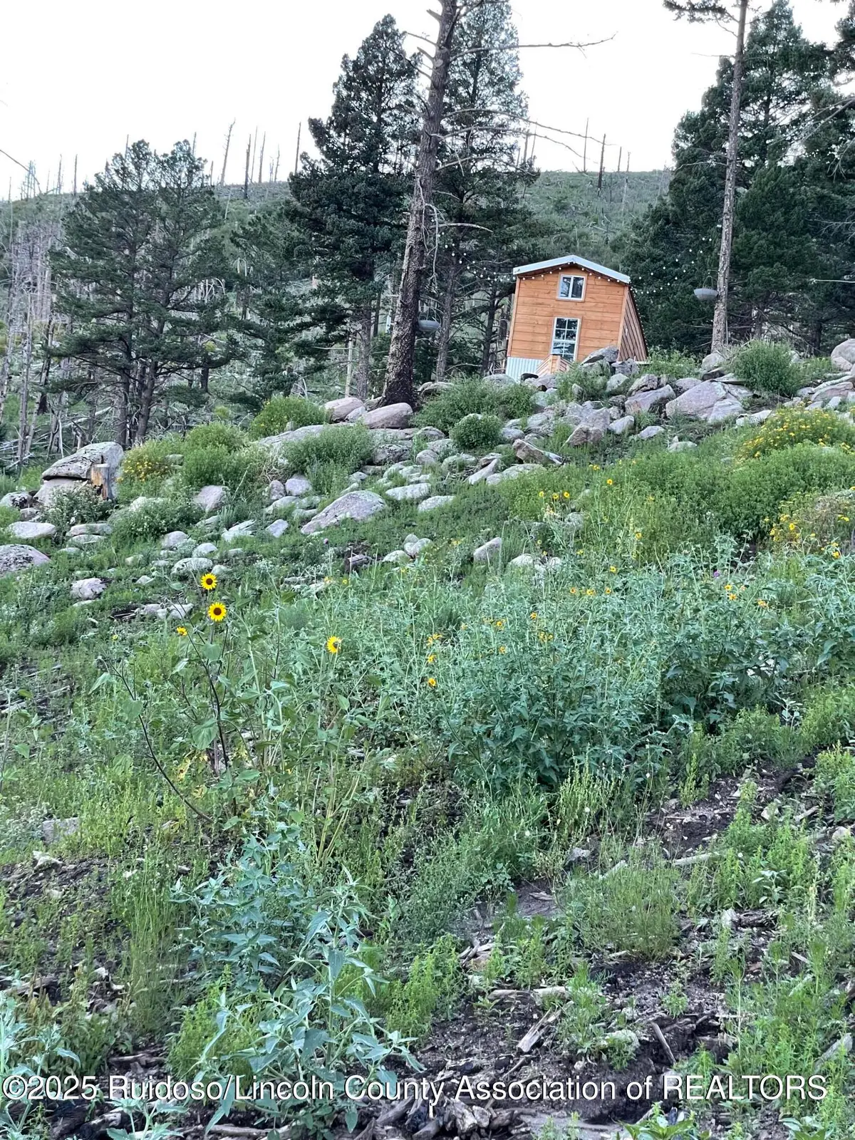 115 Hiker Court, Alto, NM 88312 - #1