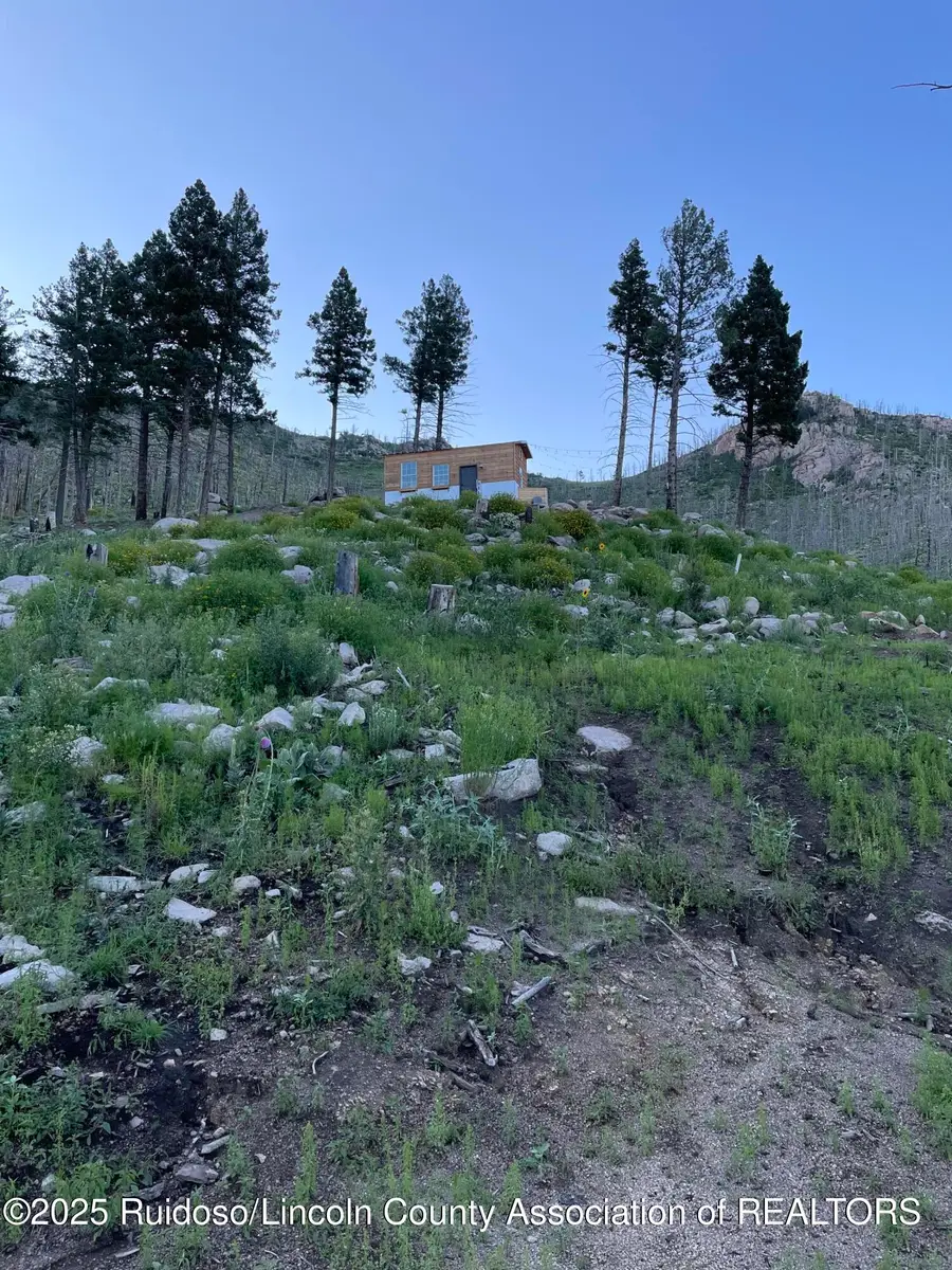 115 Hiker Court, Alto, NM 88312 - #2