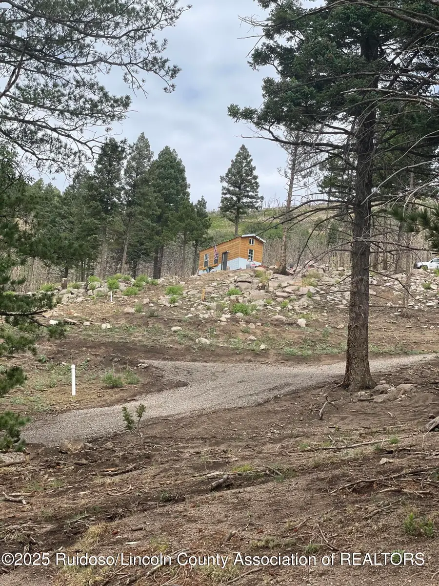 115 Hiker Court, Alto, NM 88312 - #3