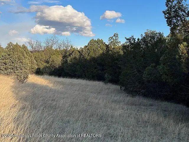 Lot 319 Santiago Circle, Alto, NM 88312 - Image #2