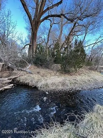 Lot 319 Santiago Circle, Alto, NM 88312 - Image #3