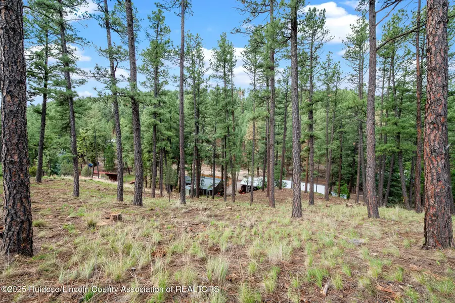 142 S Candlewood Drive, Ruidoso, NM 88345 - Image #3