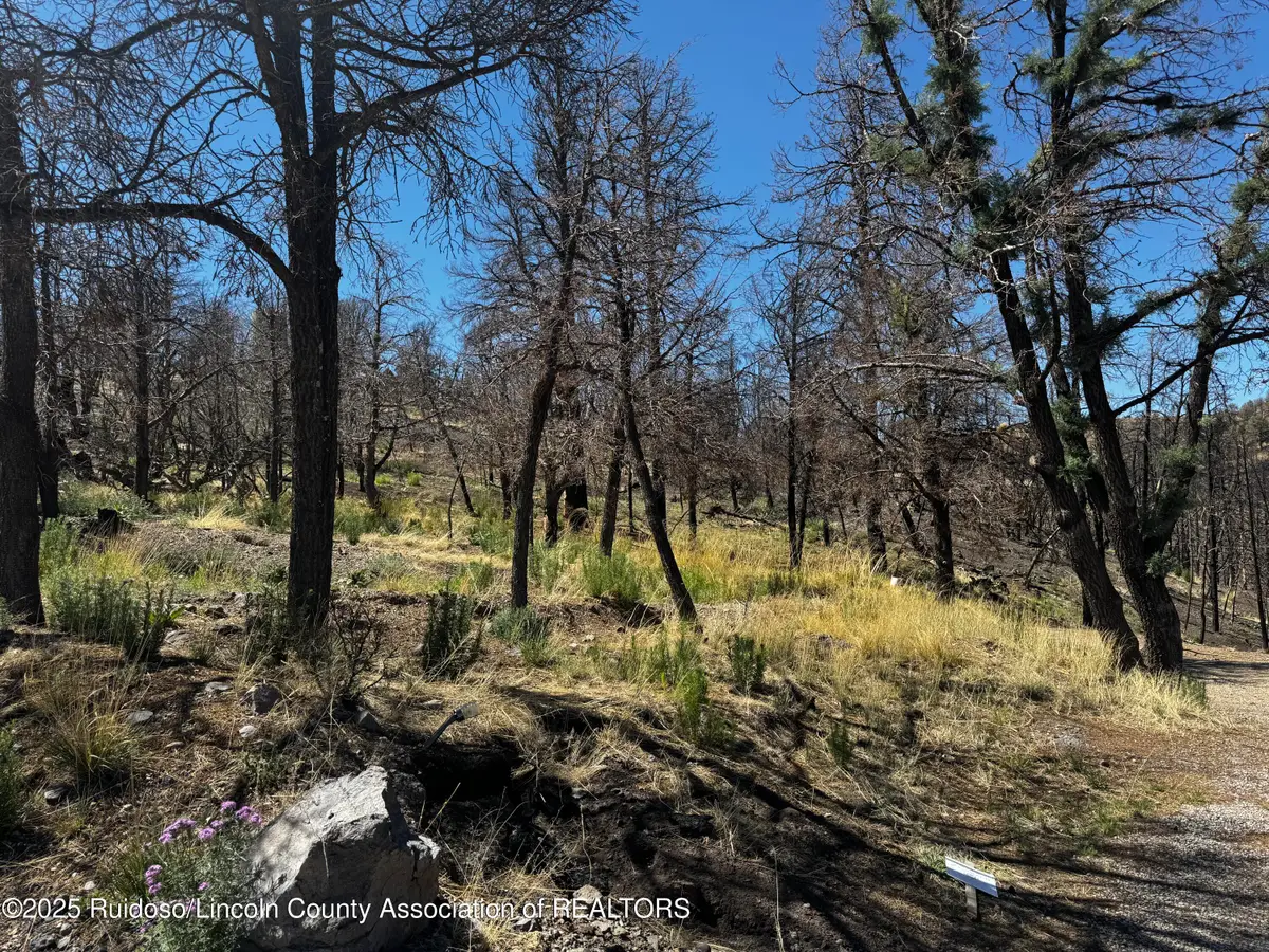 140 Telluride Trail, Ruidoso, NM 88345 - Image #1