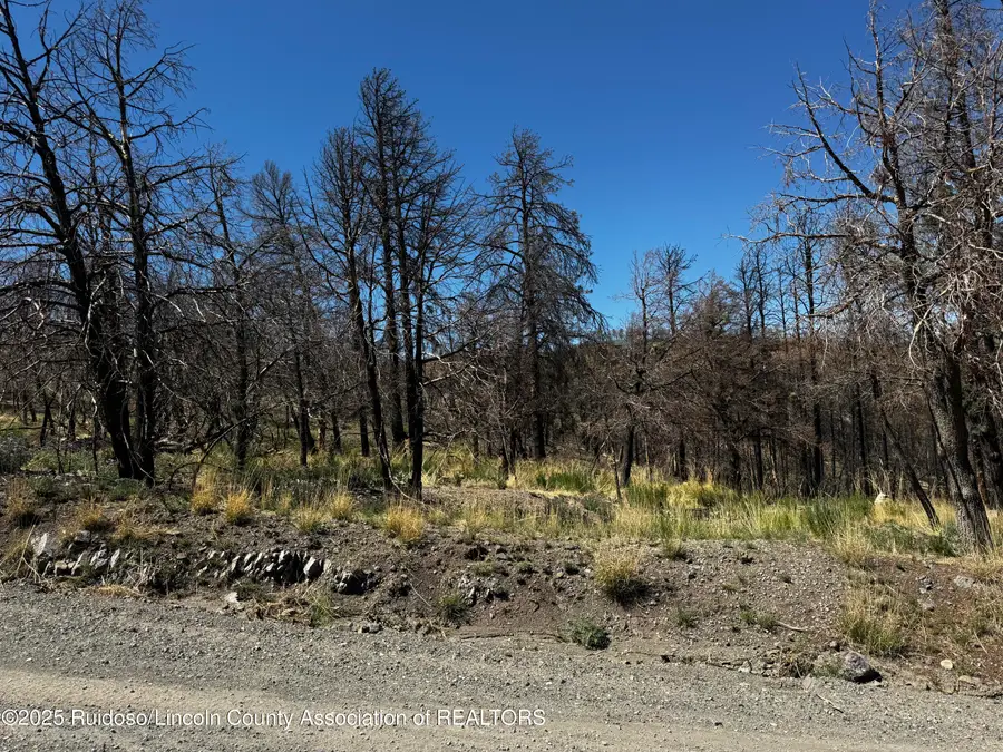 140 Telluride Trail, Ruidoso, NM 88345 - Image #2