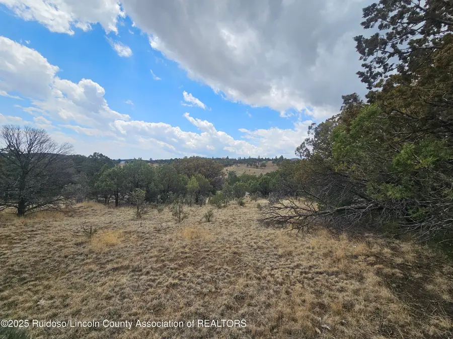 Lot 12 Buckboard & Loma Grande, Nogal, NM 88341 - #2