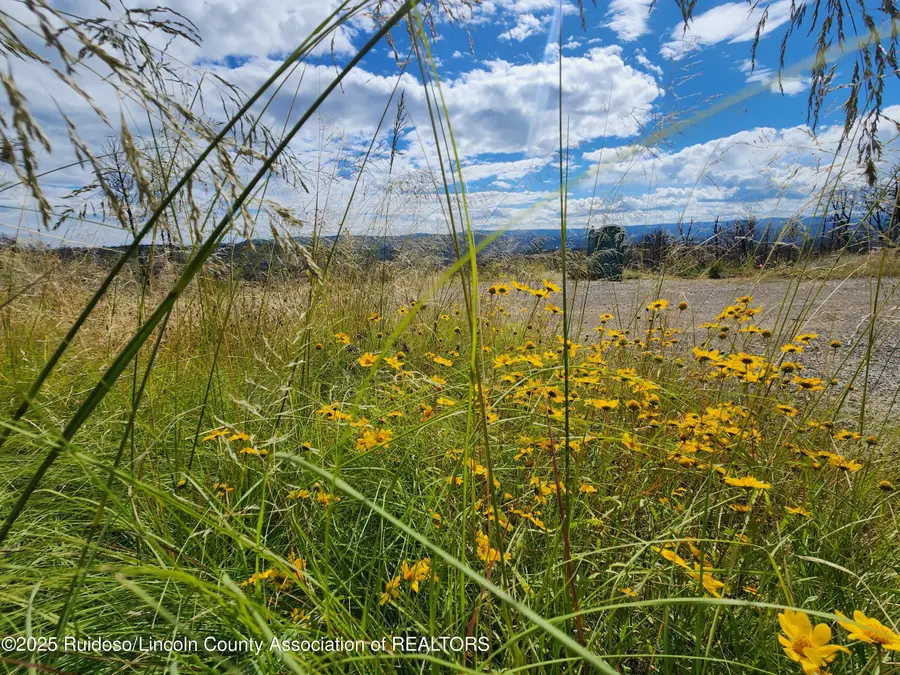 LOT 34 Telluride Trail, Ruidoso, NM 88345 - Image #2