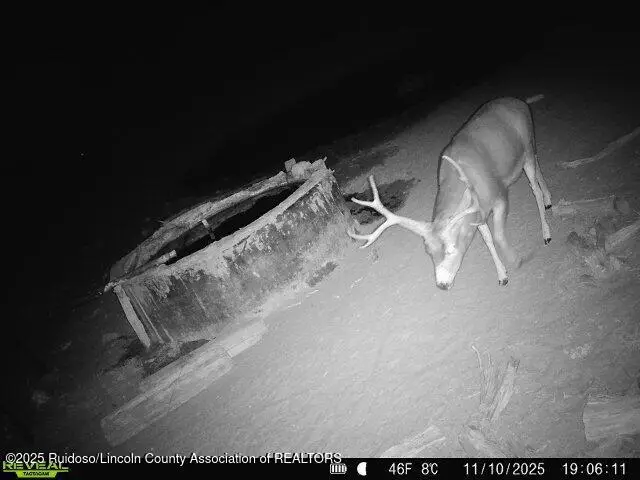 1111 Progresso, Mountainair Encino, NM 87036 - Image #3