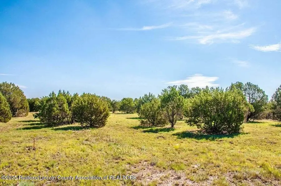 Lot 27 Cochiti Court, Alto, NM 88312 - Image #3