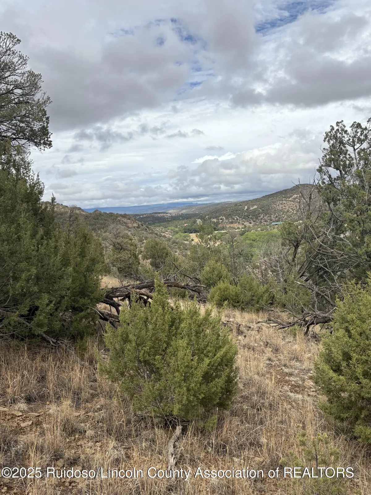 Lot 88 &89 Sandesta Dr., Alto, NM 88312 - Image #1