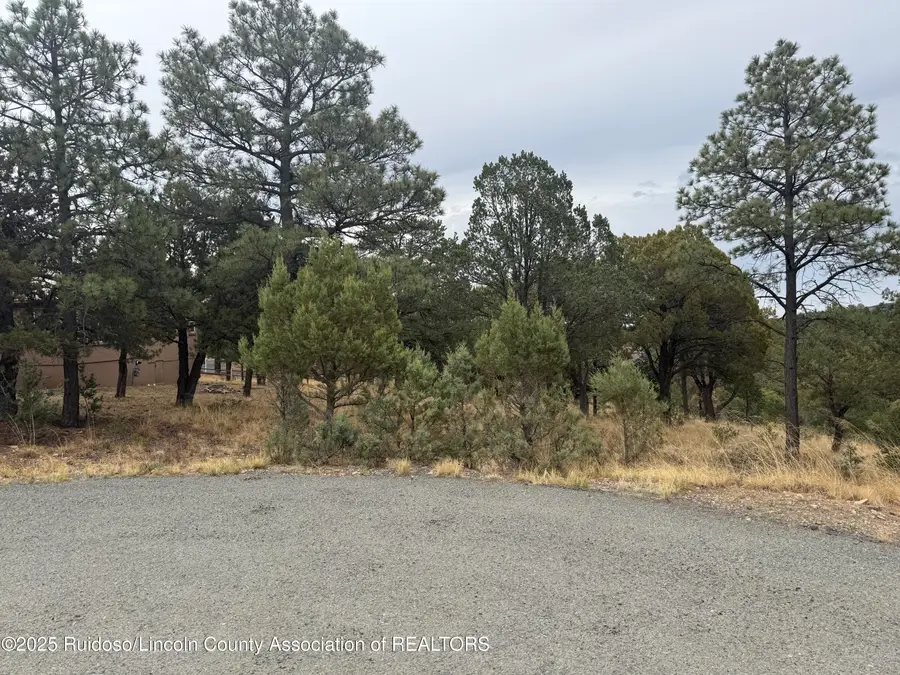 Lot #30 Cougar Lane, Alto, NM 88312 - #2