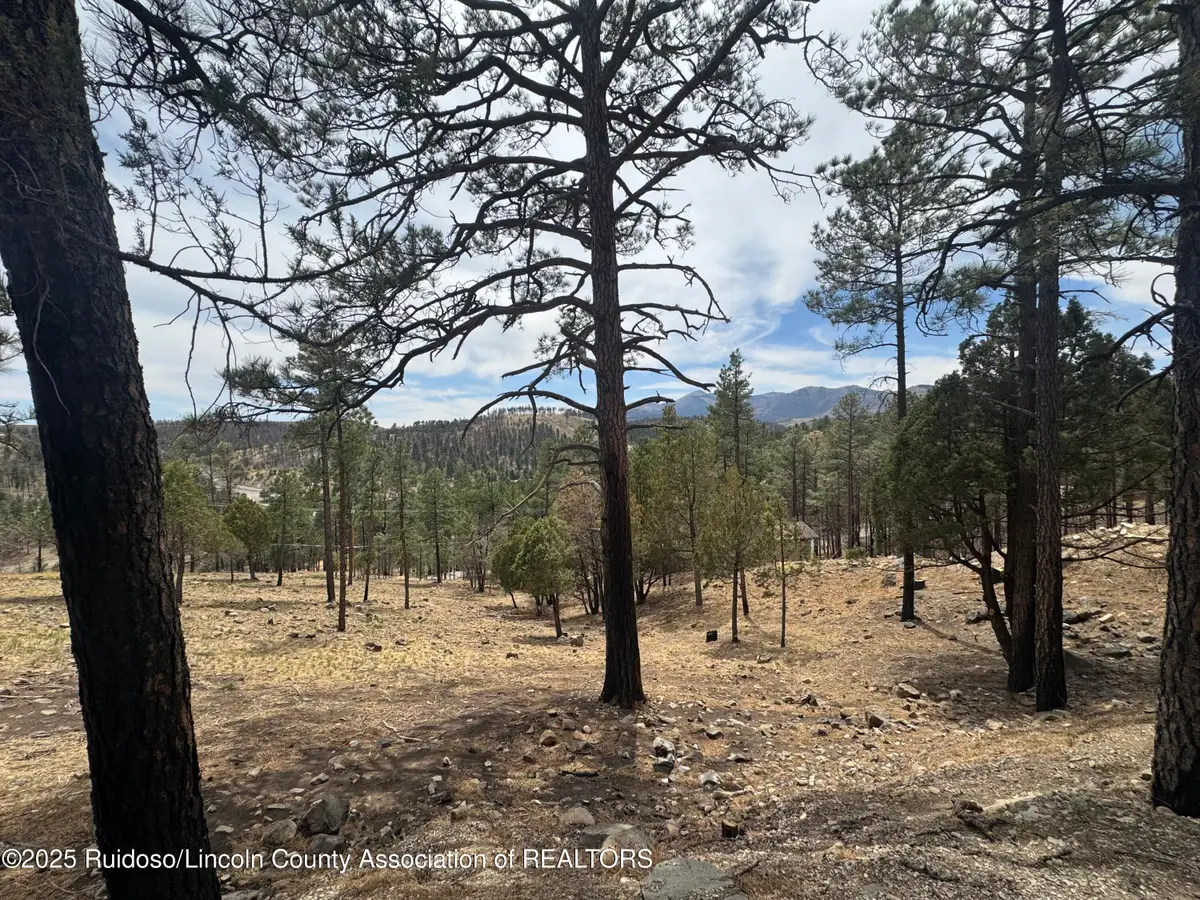 Lot 48 Crown Ridge Road, Alto, NM 88312 - #1