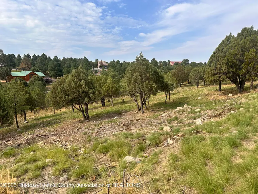 Lot 9(150) Mira Monte, Alto, NM 88312 - Image #3