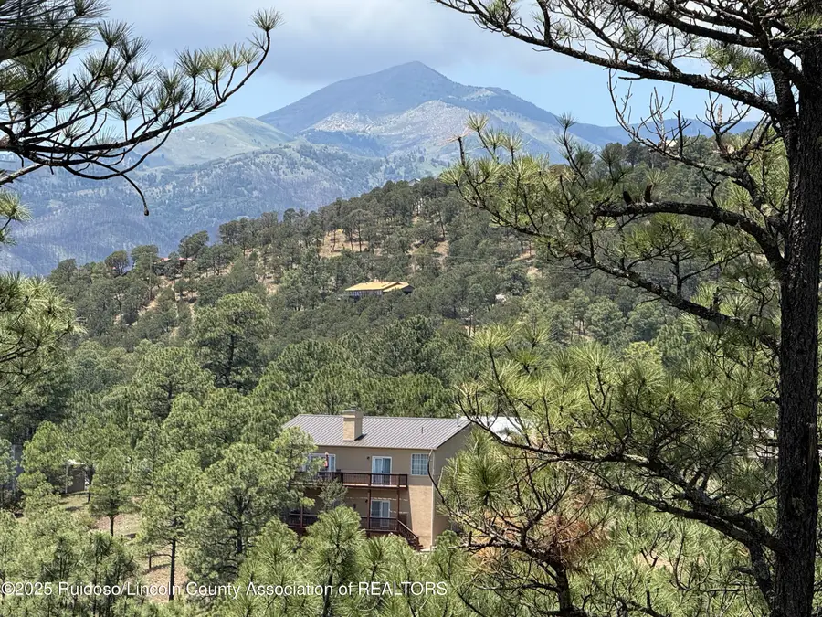 104 Pat Thompson Court, Ruidoso, NM 88345 - #2