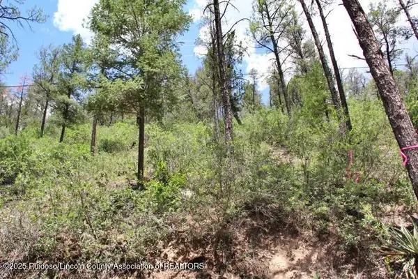 202 Camelot Drive, Ruidoso, NM 88345