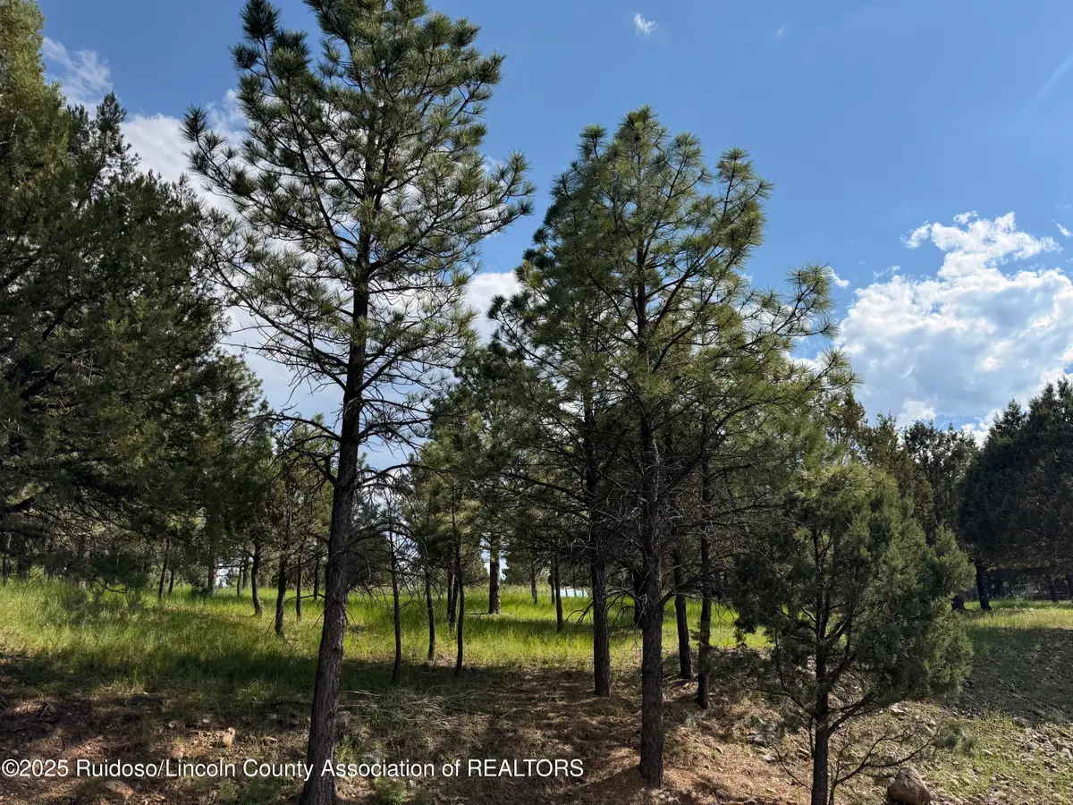 Lot 3 Block 8, Alto, NM 88312 - Image #1