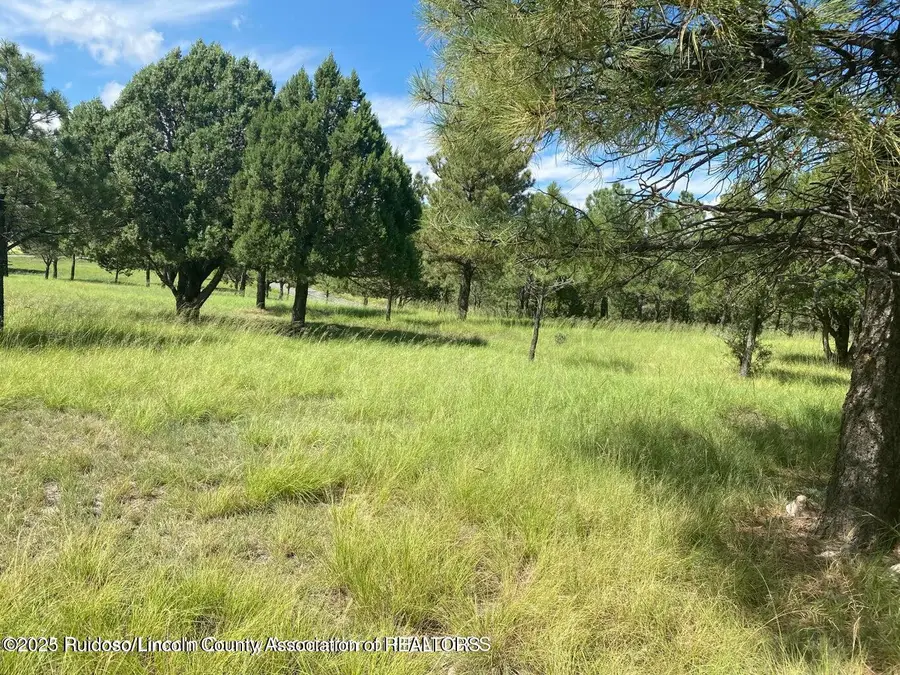 Lot 3 Block 8, Alto, NM 88312 - Image #2