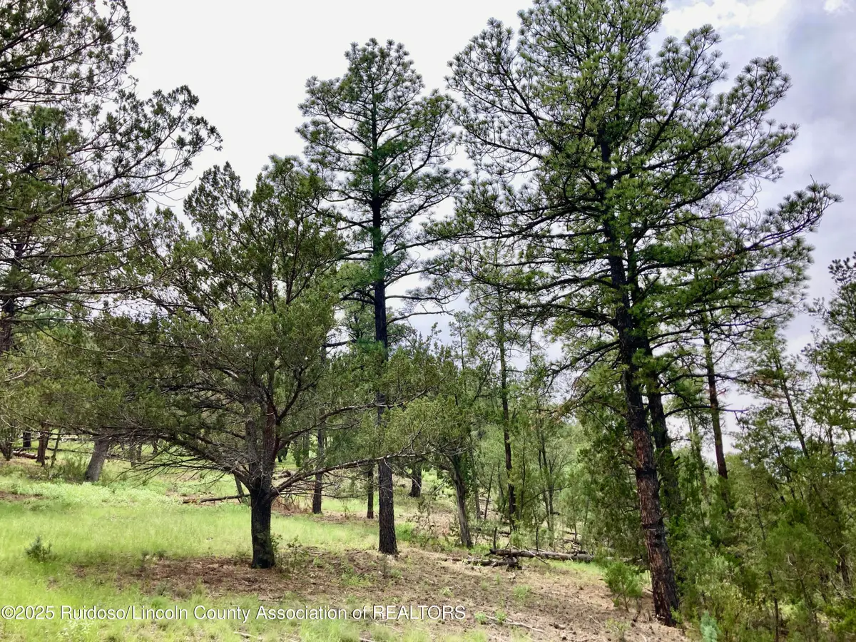 145 Antler Drive, Alto, NM 88312 - Image #1