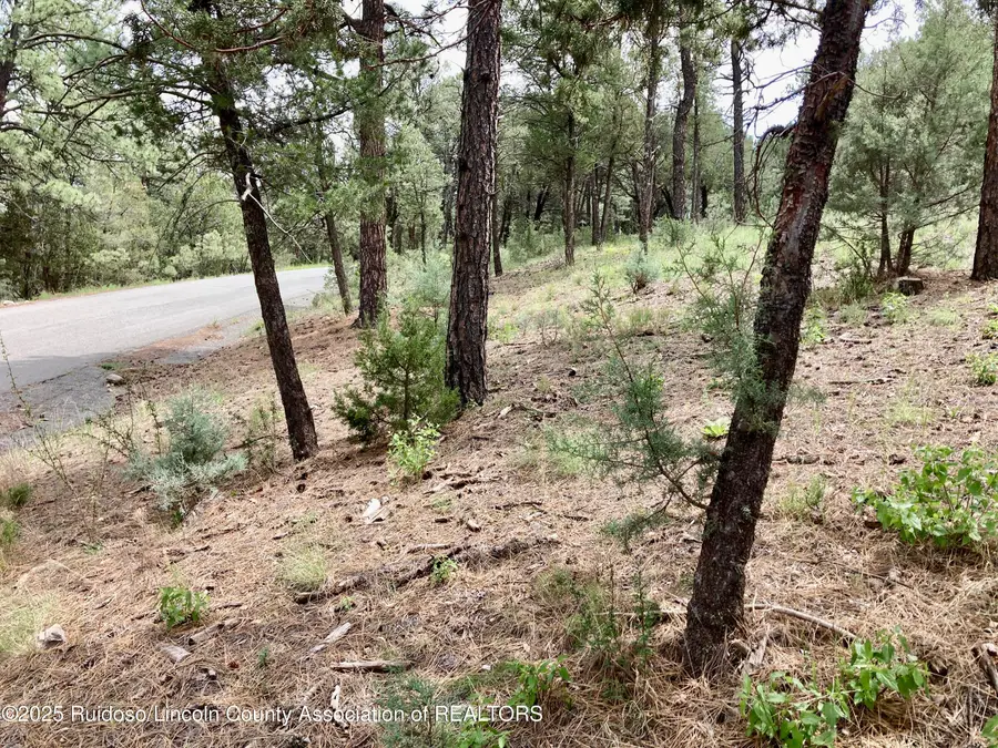 145 Antler Drive, Alto, NM 88312 - Image #3
