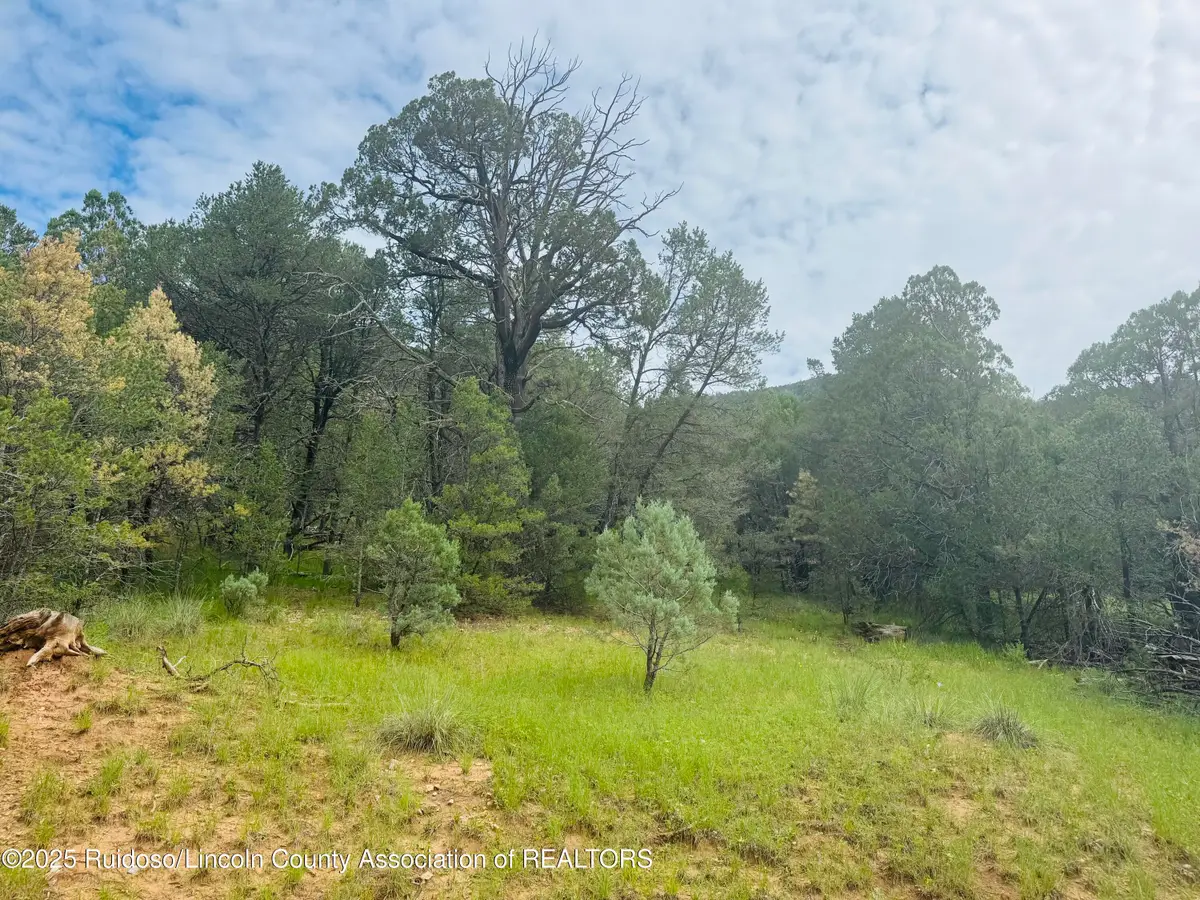 - Johnnys Drive, Timberon, NM 88350 - #1